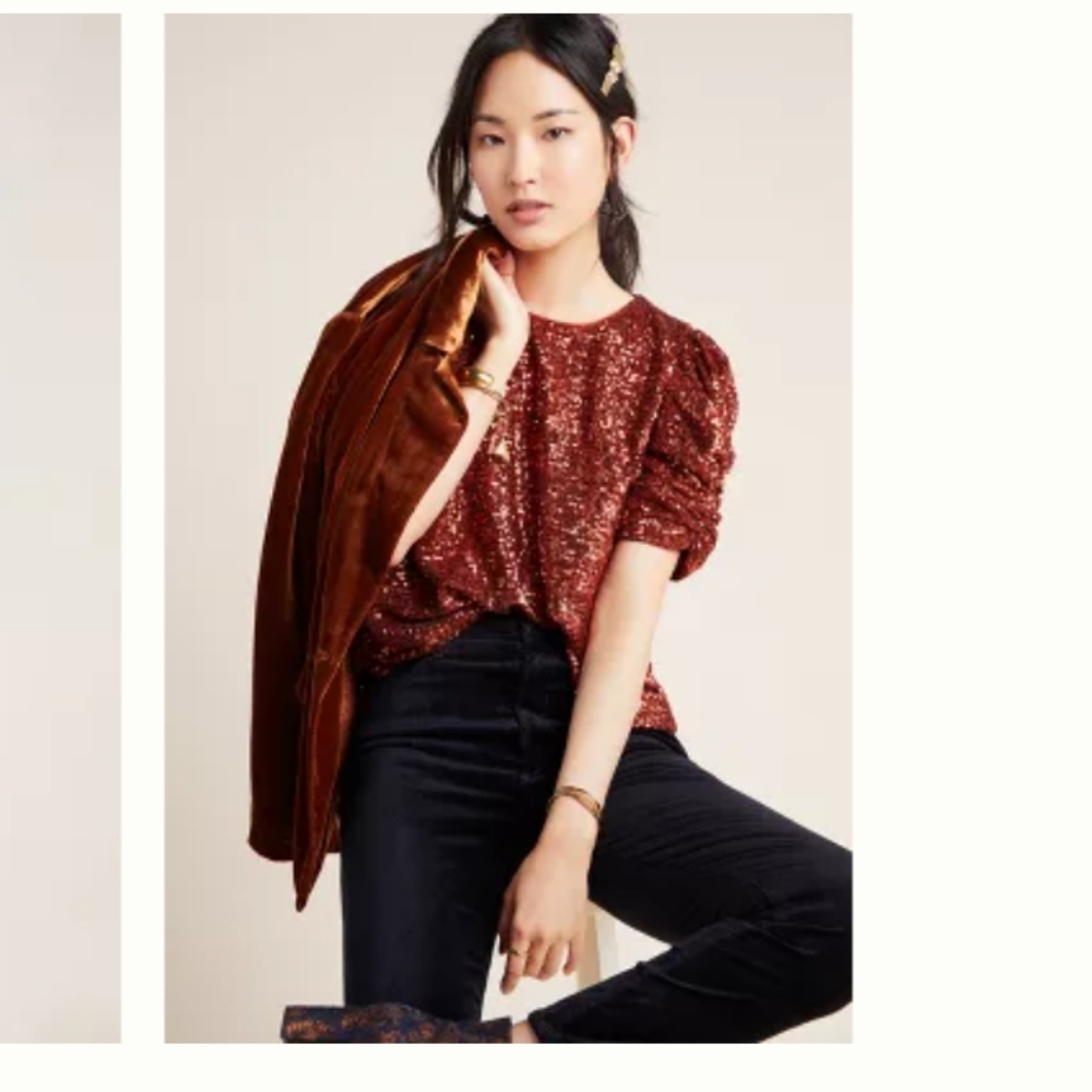 Anthropologie Marie sequined sequin top blouse size 4 excellent condition